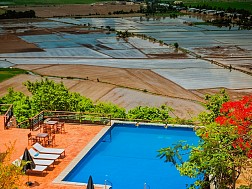 Hồ bơi nhìn ra cánh đồng lúa ở An Giang