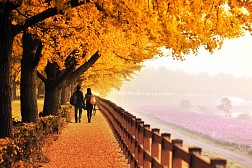 Hòn Đảo Lãng Mạn Nami