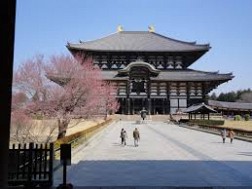 Khám Phá Đền Todaiji Nhật Bản