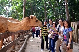 Khám phá thế giới động vật trong Singapore Zoo