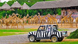 Khám phá thế giới tự nhiên từ công viên Safari World