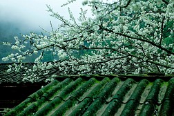 Khám phá thung lũng Sủng Là