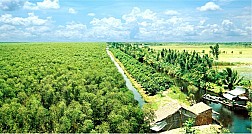 Khám phá Vườn quốc gia U Minh Hạ