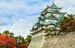 Lâu Đài Osaka bên công viên Sakura