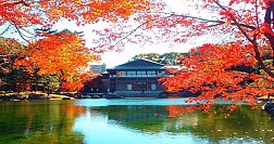 Lễ Hội Thu Đông Ở Nagoya