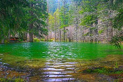 Lộng Lẫy Sắc Màu Mâu Ni Câu