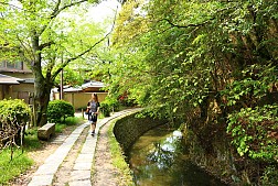 Mãn Nhãn Với Con Đường Triết Học