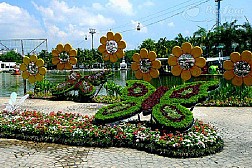 Mê hoặc trong vườn bướm Thái