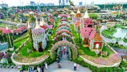 Miracle Garden- Viên Ngọc Trai Của Sa Mạc