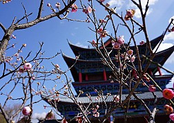 Mộc Phủ- Tử Cấm Thành Phương Nam