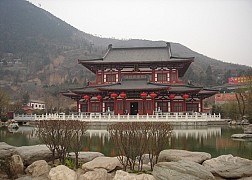 Ngắm Cảnh Hoa Thanh Trì