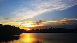 Ngắm hoàng hôn MacRitchie Nature Trail & Reservoir Park