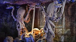 Ngắm những loài cá ở công viên nước Adventure Cover