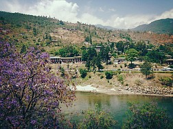 Ngắm Paro yên bình