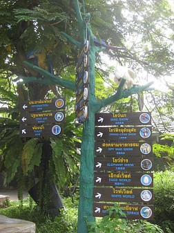 Ngắm vườn thú nổi tiếng nhất Thái Lan tại công viên Safari World