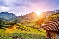 Rức Sắc Màu Hoa Trên Những Nẻo Đường Phượt Mùa Thu