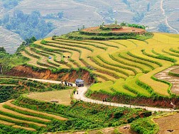 Ruộng Bậc Thang Nguyên Dương Mùa Nước về