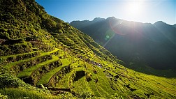 Ruộng bậc thang xanh ngút tầm mắt ở Banaue