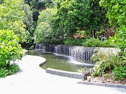Singapore Botanic Garden , khu vườn thực vật lớn nhất Singapore
