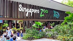 Singapore Zoo, điểm đến cho những người yêu động vật hoang dã