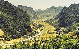 Sủng Là trong sương sớm