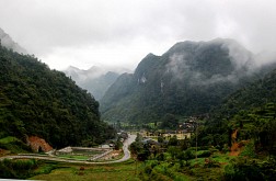 Sủng Là trong sương