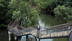 Tham quan MacRitchie Nature Trail & Reservoir Park