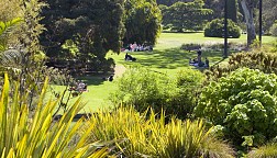 Tham quan Singapore Botanic Gardens