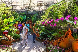 Thảm thực vật Nong Nooch ở Pattaya