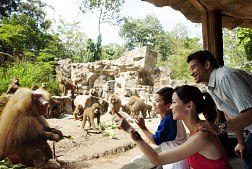 Thế giới thần tiên ở sở thú Singapore