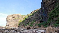 Thỏa thích ngắm san hô ở Hang Câu