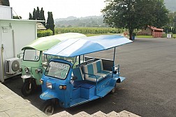 Thưởng ngoạn vườn nho SilverLake đậm chất cổ điển