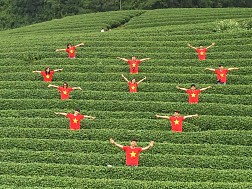 HÀ NỘI- MỘC CHÂU 2 NGÀY 1 ĐÊM- KHỞI HÀNH HÀNG NGÀY
