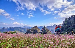 Tưng bừng lễ hội hoa tam giác mạch lần 2 năm 2016 ở Hà Giang