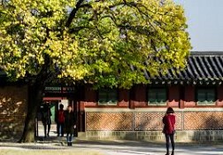 Vẻ Độc Đáo Của Cung điện Gyeongbok Giữa lòng Seoul
