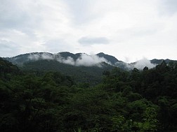 Vườn Quốc Gia Pù Mát