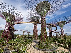 vườn thực vật garden by the bay, khu vườn độc đáo tại Singapore