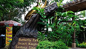 Butterfly park and Insect kingdom