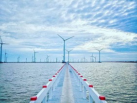 Cánh đồng quạt gió