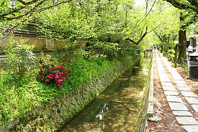 Con đường của nhà triết học