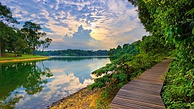 MacRitchie Nature Trail & Reservoir Park