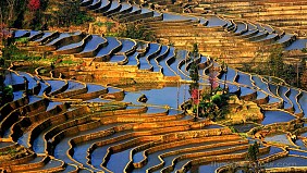 Quần Thể Ruộng Bậc Thang Nguyên Dương