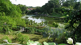 Singapore Botanic Garden (Vườn thực vật Singapore)