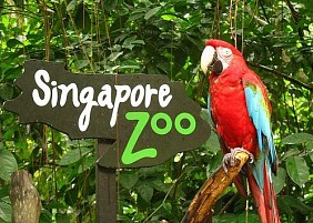 Singapore Zoo