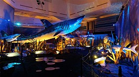 Trung tâm khoa học Singaprore và rạp chiếu phim Omi