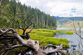 Vườn Quốc Gia Pudacuo