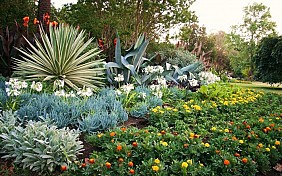 Vườn Thực Vật Botanic Garden