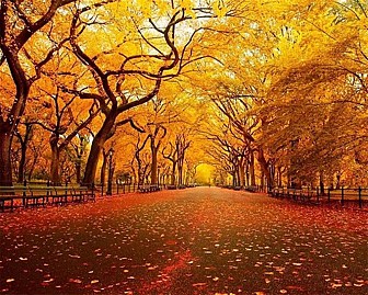 Bốn Mùa Rực Rỡ Sắc Màu Ở Nami