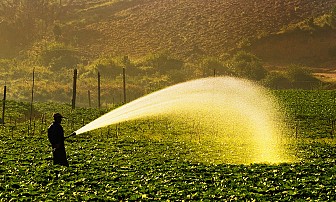 Cao Nguyên ĐakLak 3 Ngày 2 Đêm Siêu Khuyến Mại Tháng 11, 12