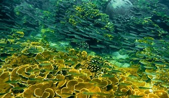 Hà Nội - Đảo Lý Sơn